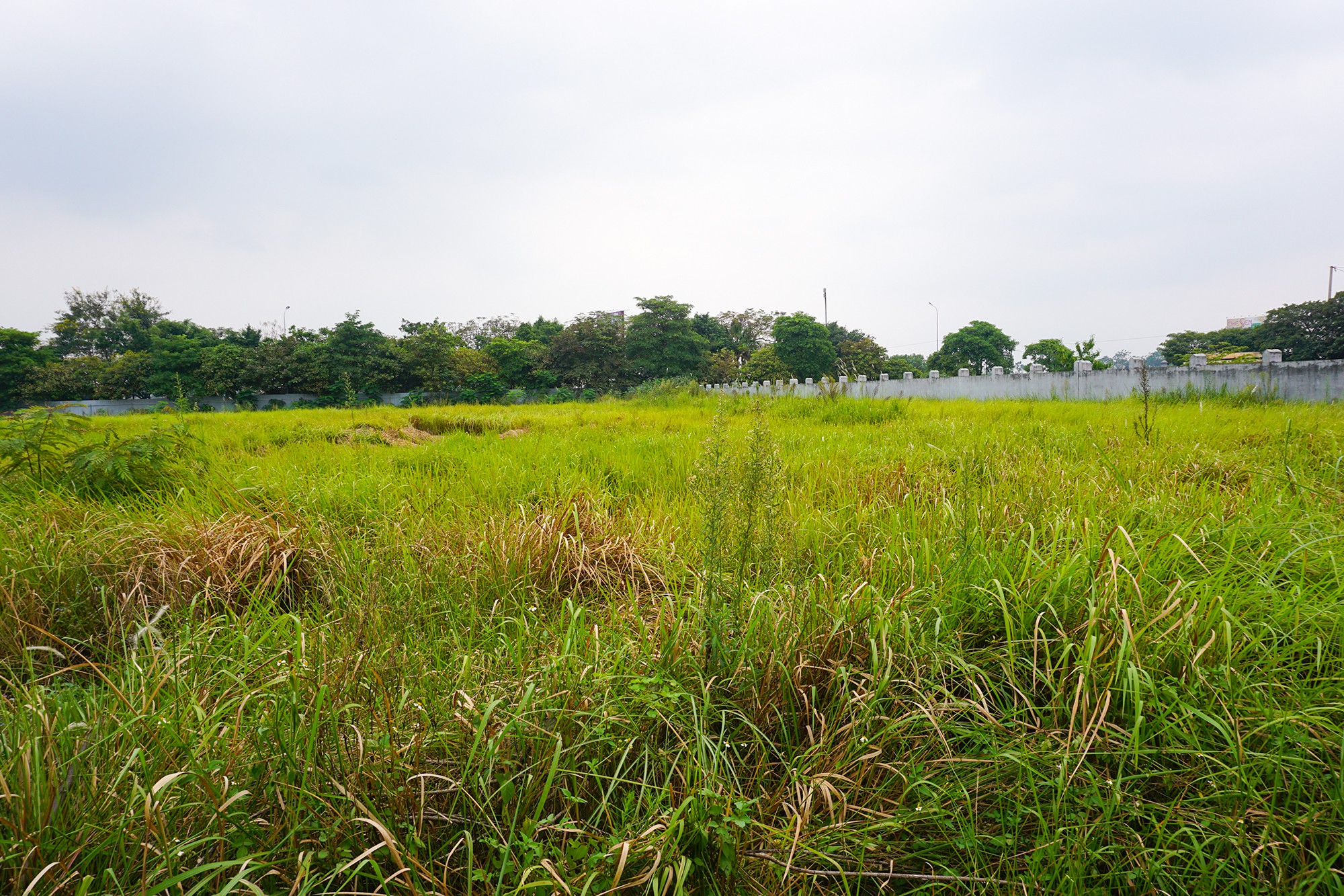 dsc03669-1571904596571526175032