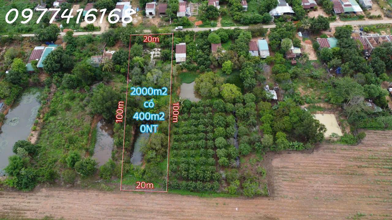 e1d15996-624f-41fa-bfeb-9817c71c3618.jpg_bak_638850790531315379