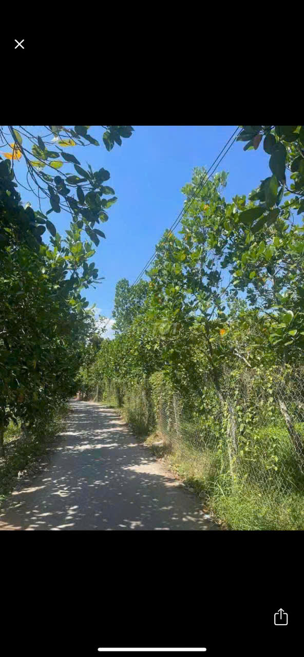 e8ceadc7e61853460a09