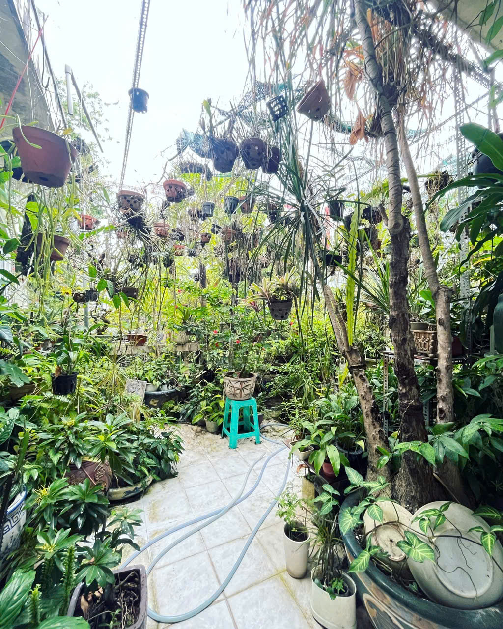 gen-h-z6745279192968_a4b6b55a37535eb360160d7a6f9a50d2