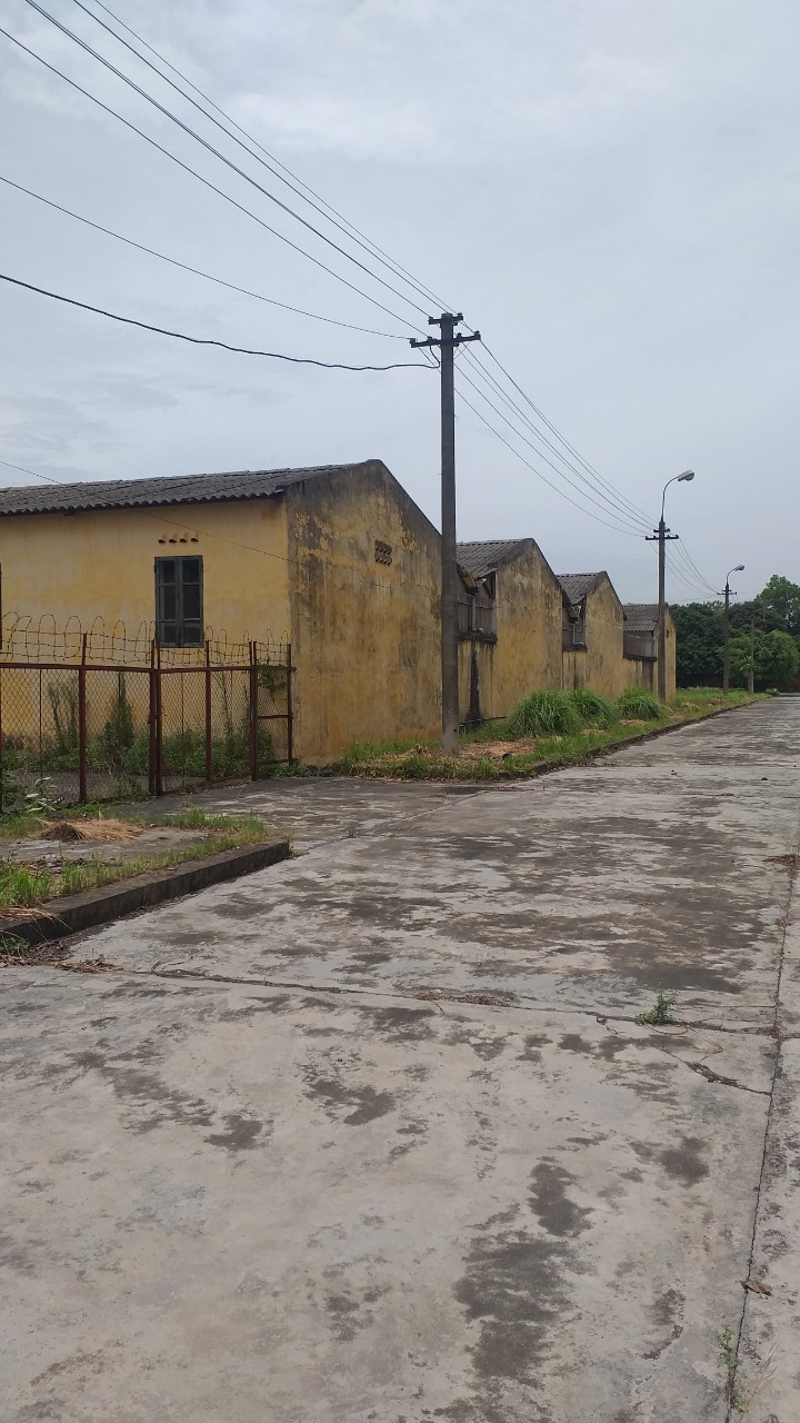 z3835461126105_b0b593afe81da290b5bc3a52d779bdba