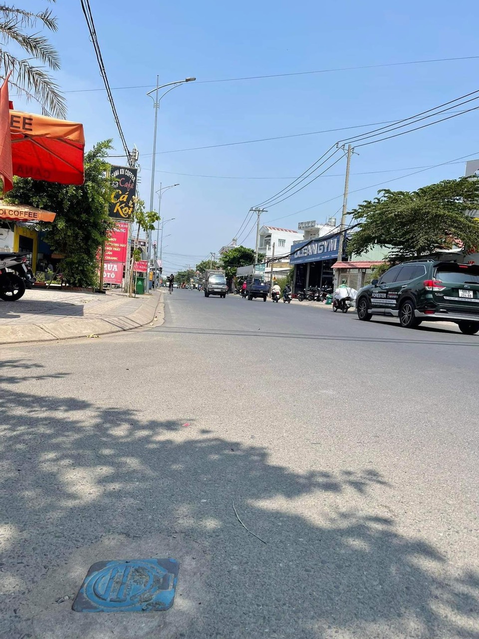 z5260230836037_b8c3081218266cd9d4bed30711ce375b