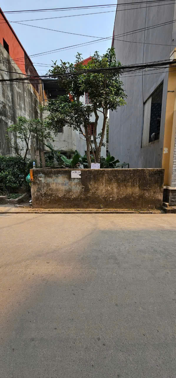 z6475452686628_7d275022bc66bb71f4cd8b80eb5d276c