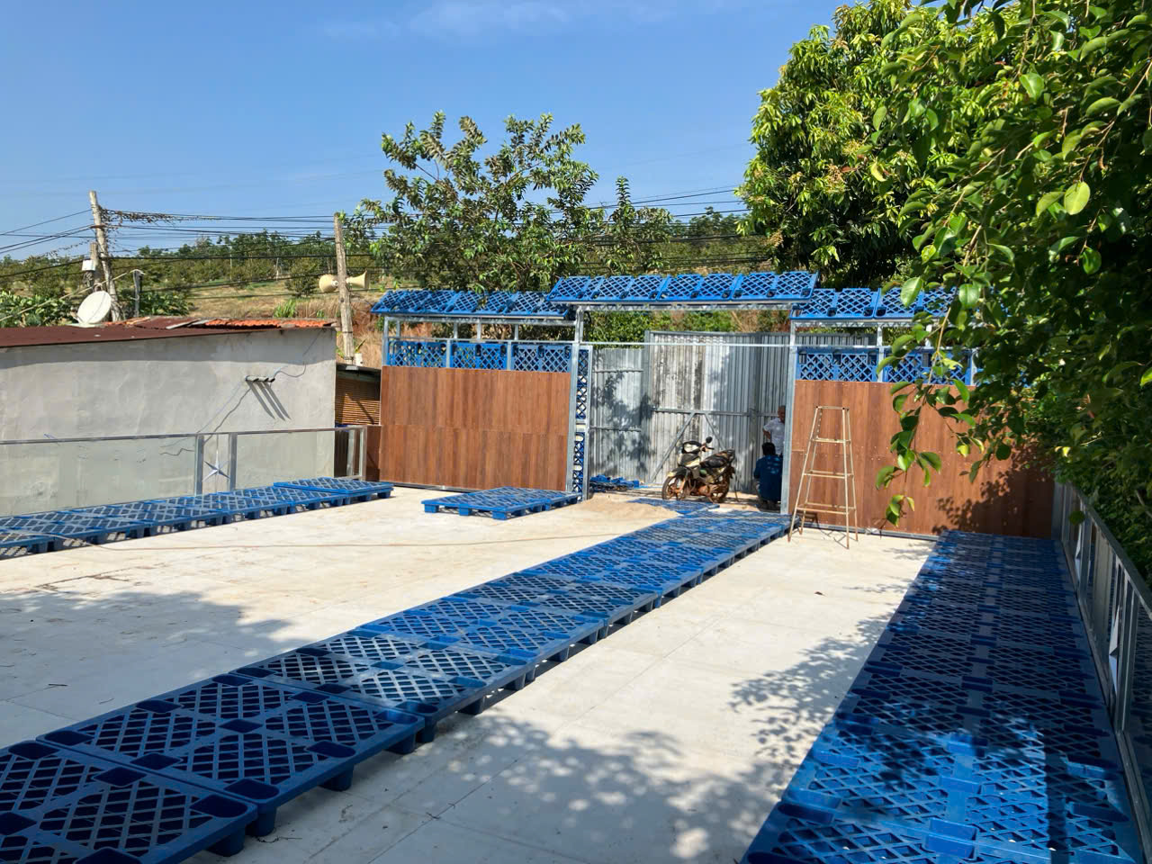 z6492684356042_af8e3a093d042232b390edfe937c3273