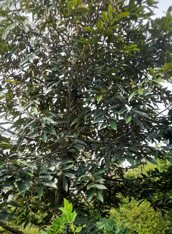 z6558344814658_4dc9d42ed9ad9e22c4462010dc14efb1
