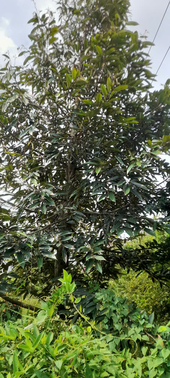 z6558344814658_4dc9d42ed9ad9e22c4462010dc14efb1