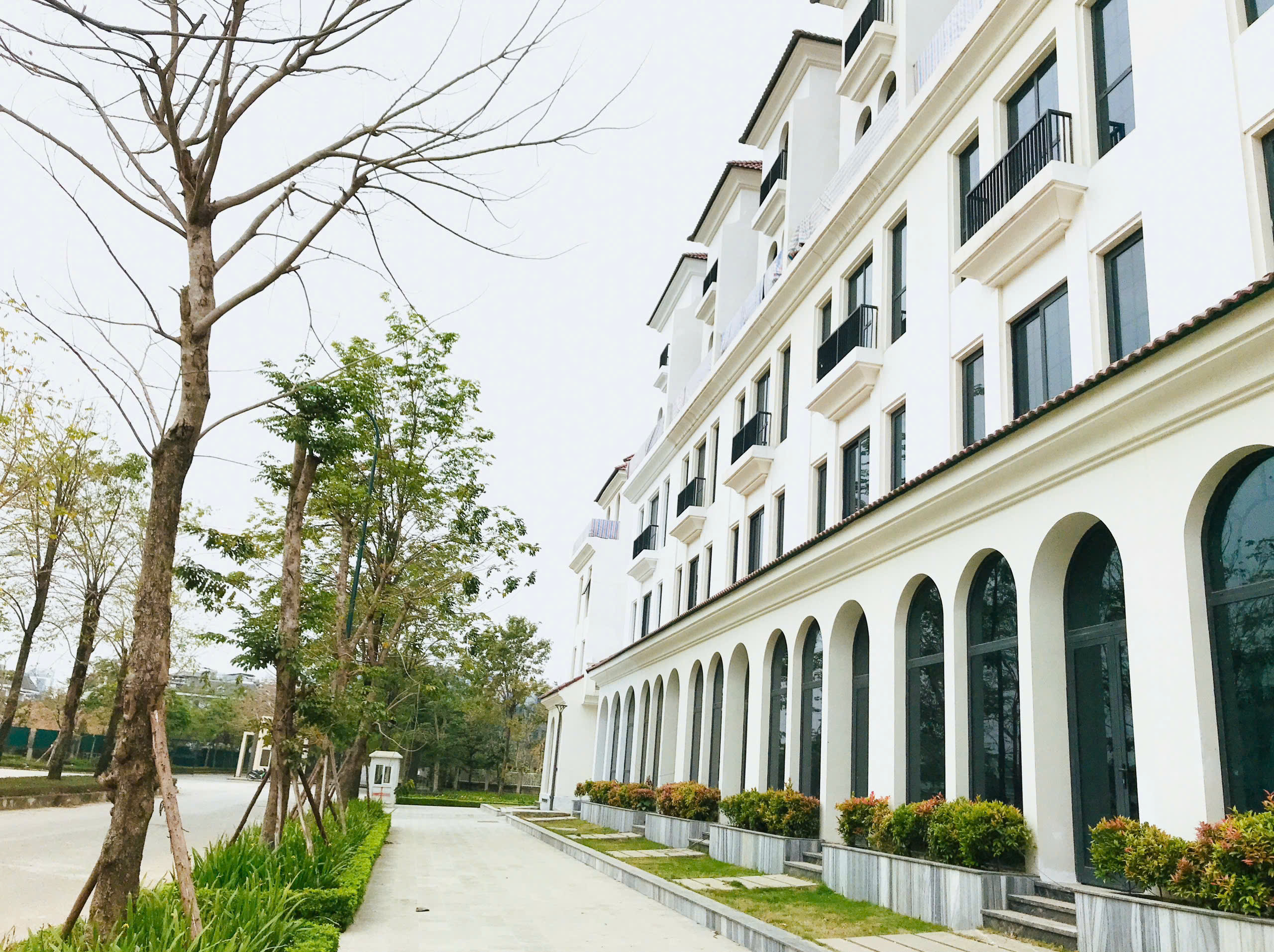 z6584961293833_70122fa50380aba1887b5290ef3c2e20