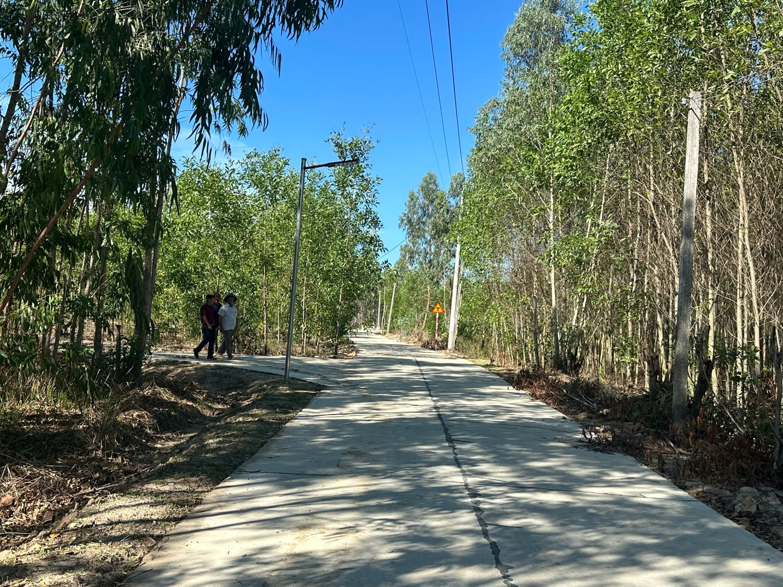 z6600741945007_b536650b7b3e621fa25a88c99aa8422c