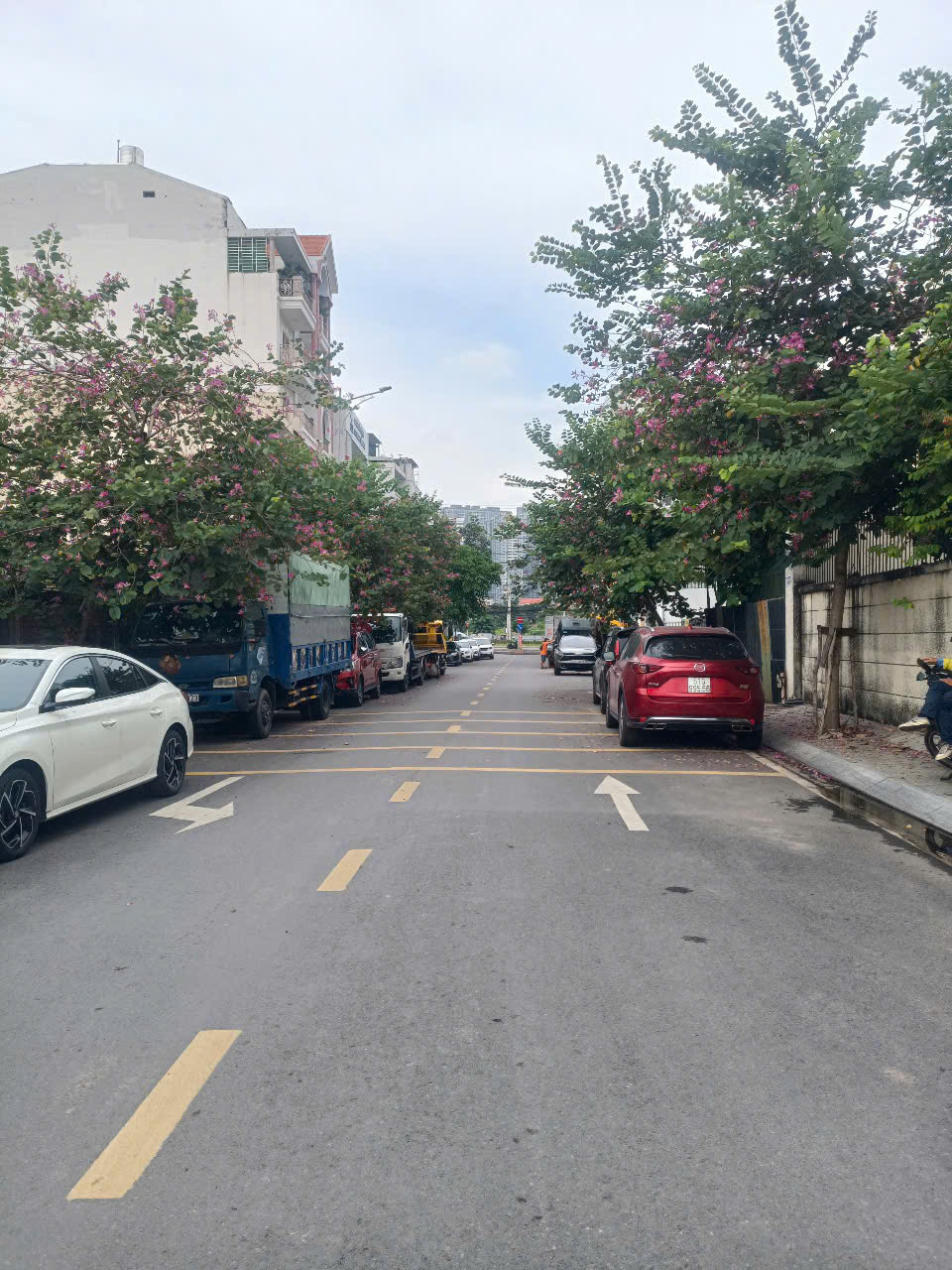 z6615832634667_f4efd3af42cc22b6eb1e831cf7636f0c