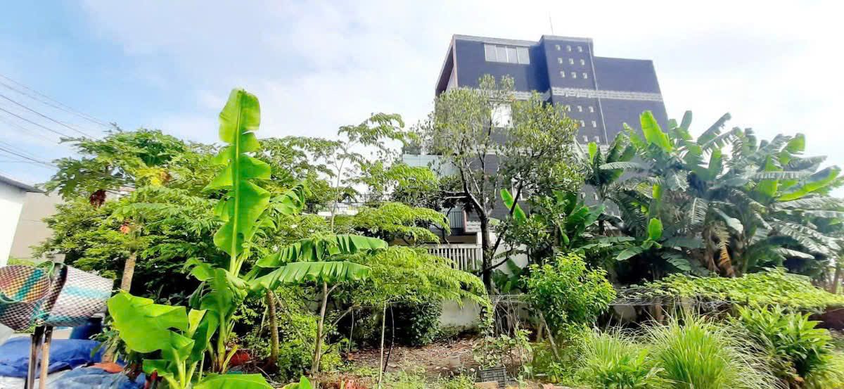 z6655839998424_12d10925f6f1030226fee6e2dbca9e41