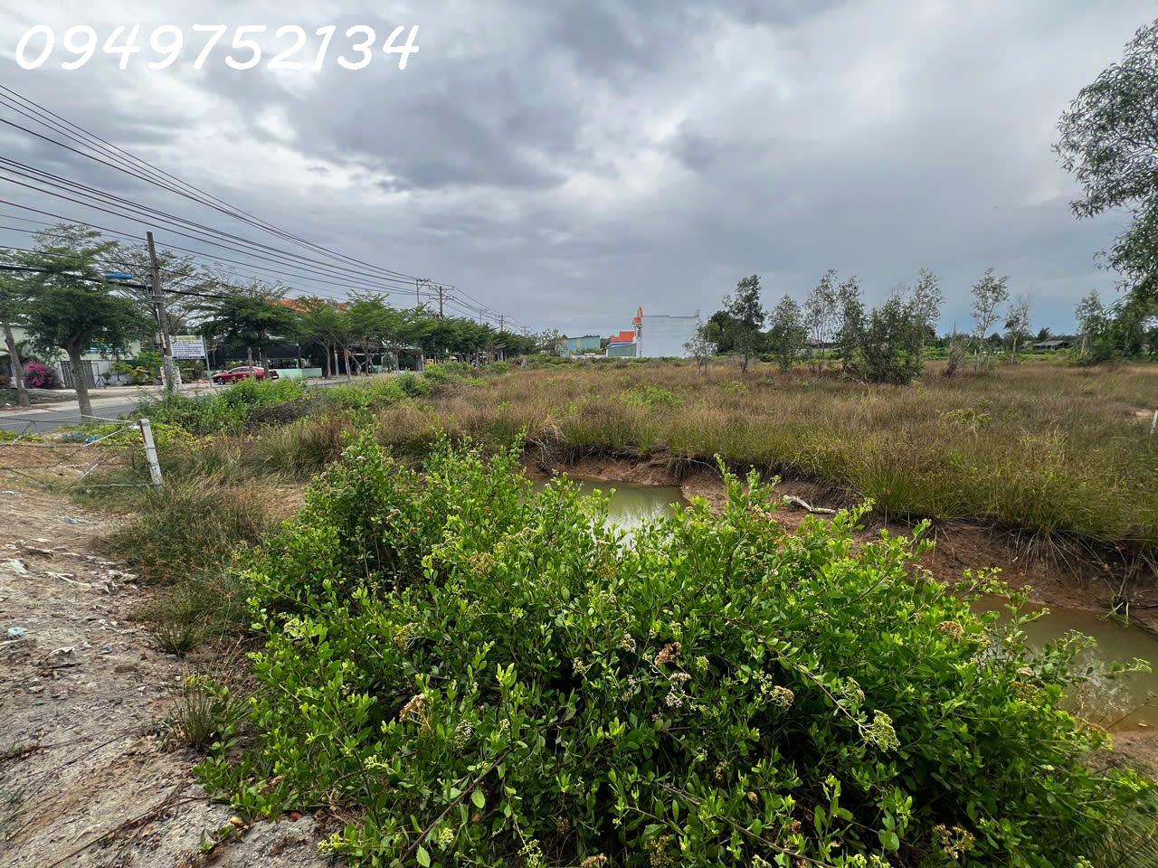 z6668342810489_8893c4a4385a6936e0e57a6772aa5237