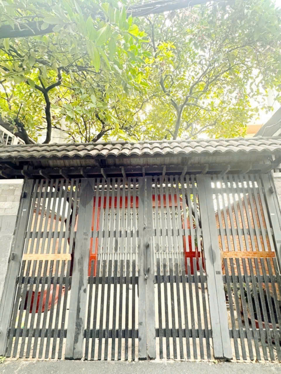 z6669337746020_c97de0bd1c772de25f753a2e5cb750cf