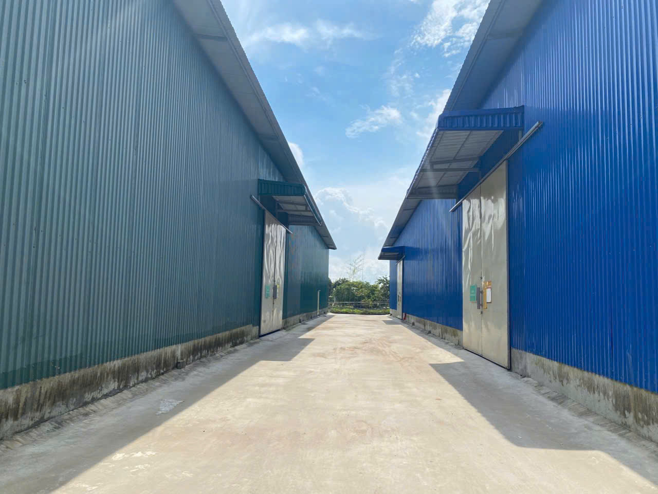 z6670398722489_6900a8c720a728fad13879d58646fb97