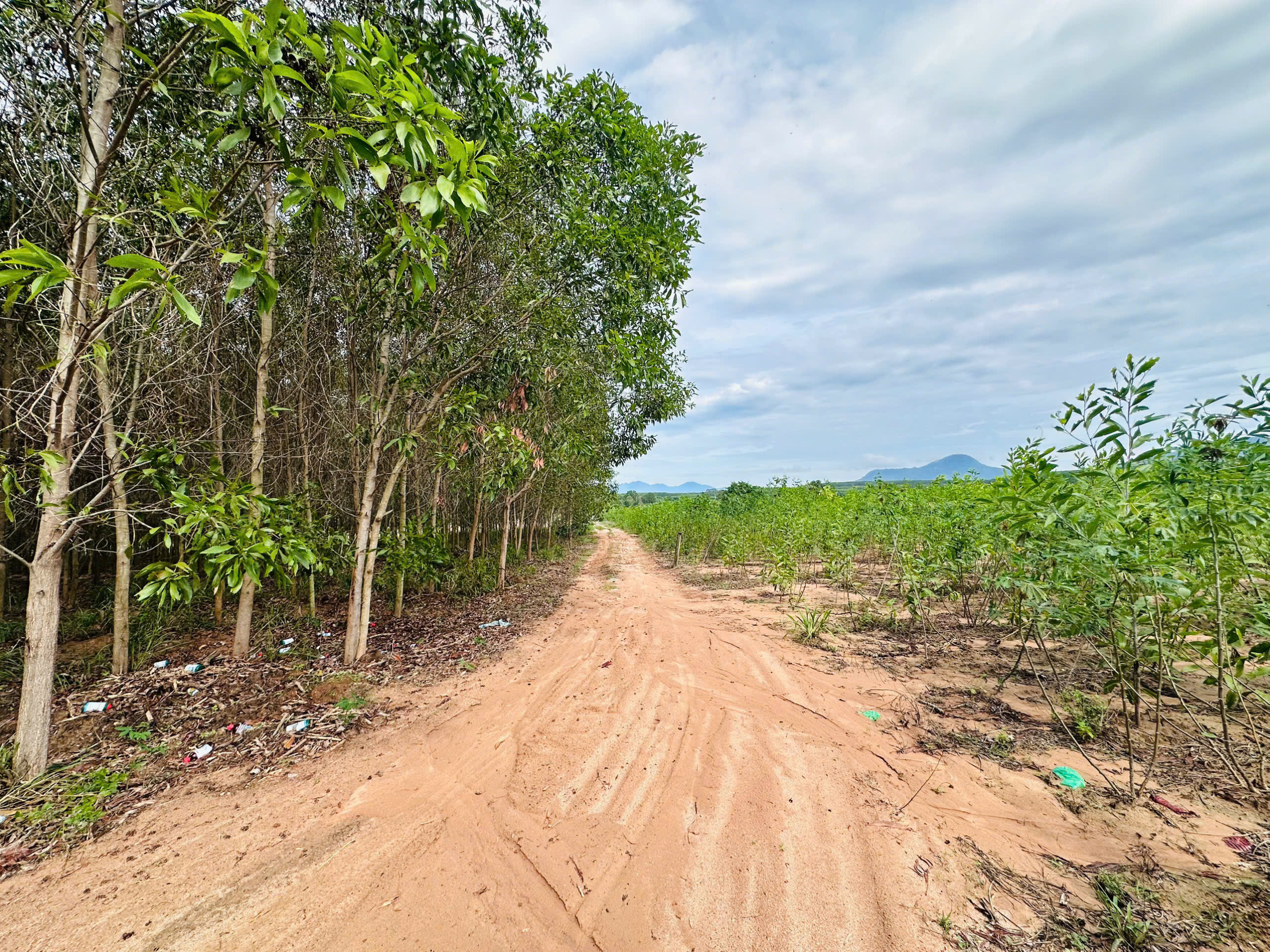 z6670767707048_54080715b73a8a37fe1ca58e70ac8b9b