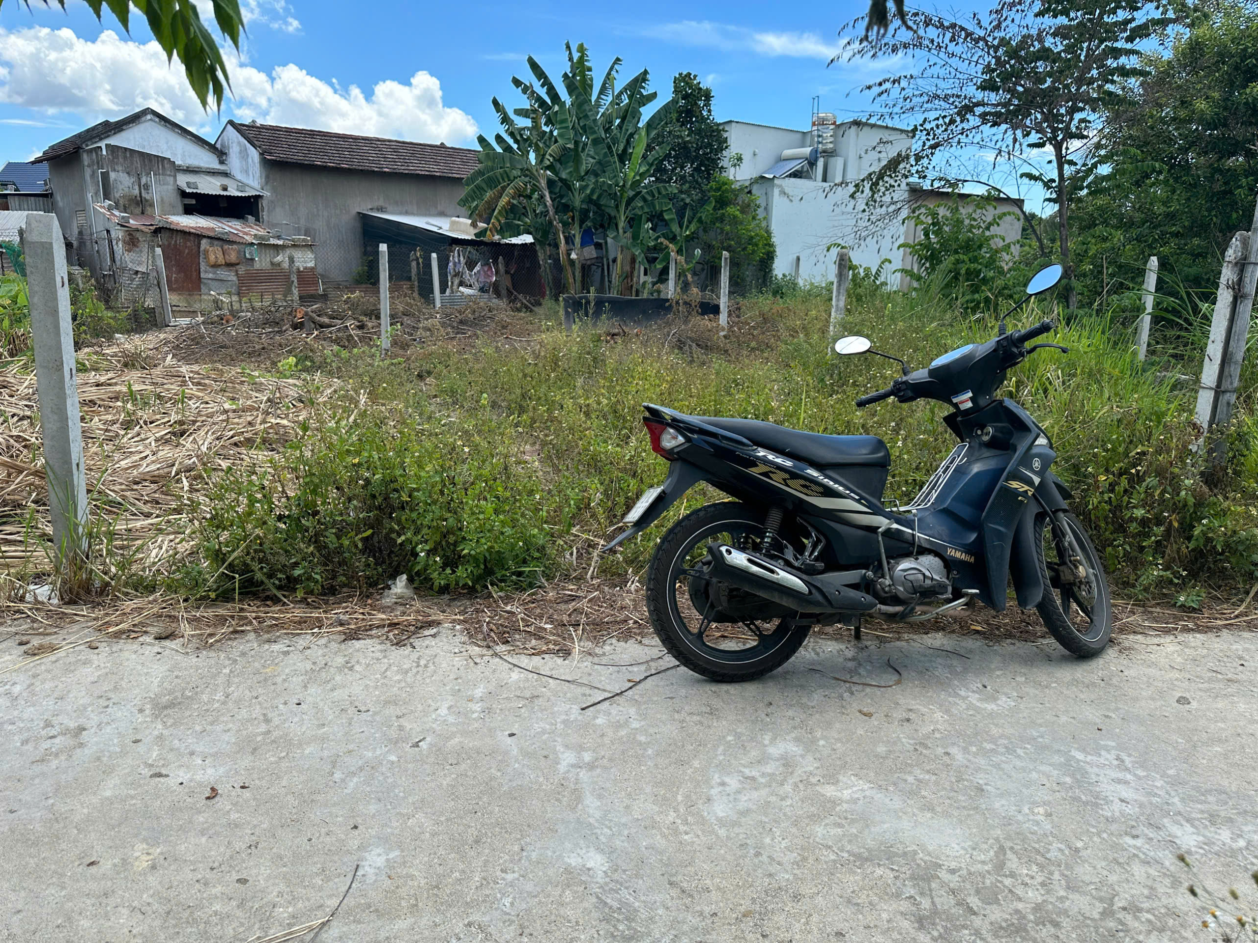 z6671008251591_c8e692177b7f75fda70d37f8317dd56d