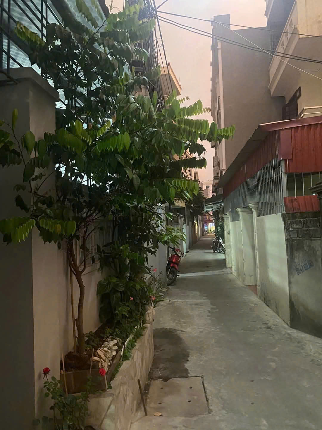 z6672945019939_99e183296e882397b269abd0817143c7