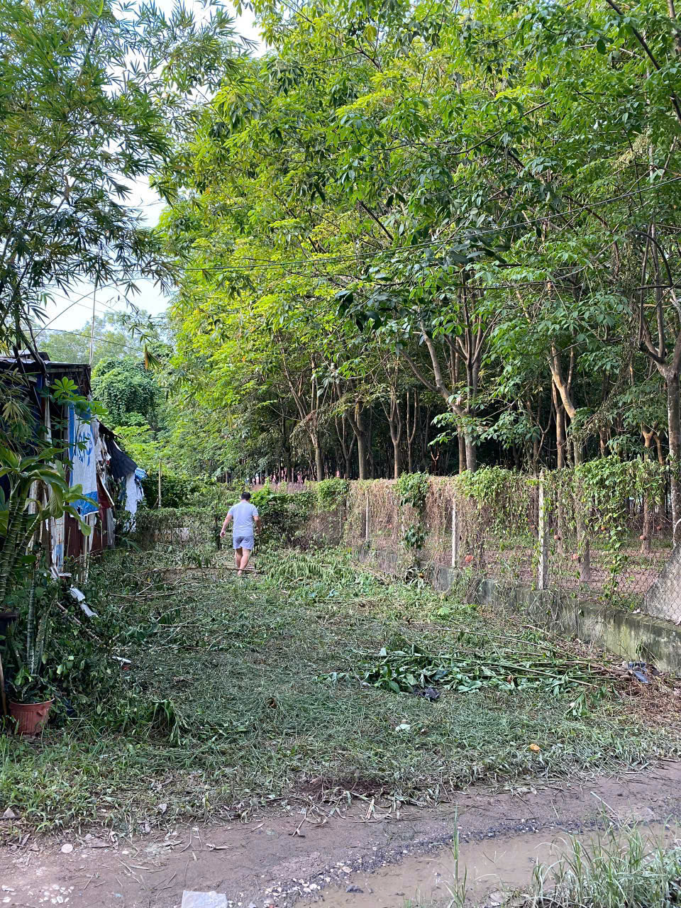 z6674167101443_19a33461ac0610140556e39f064bf955