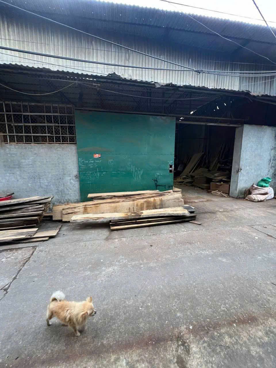 z6674186372383_0ecf128a10f1c014e52442aa108db90a