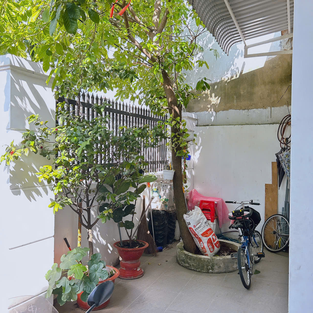 z6674557519099_969aba39575c069f86fc399645492de7