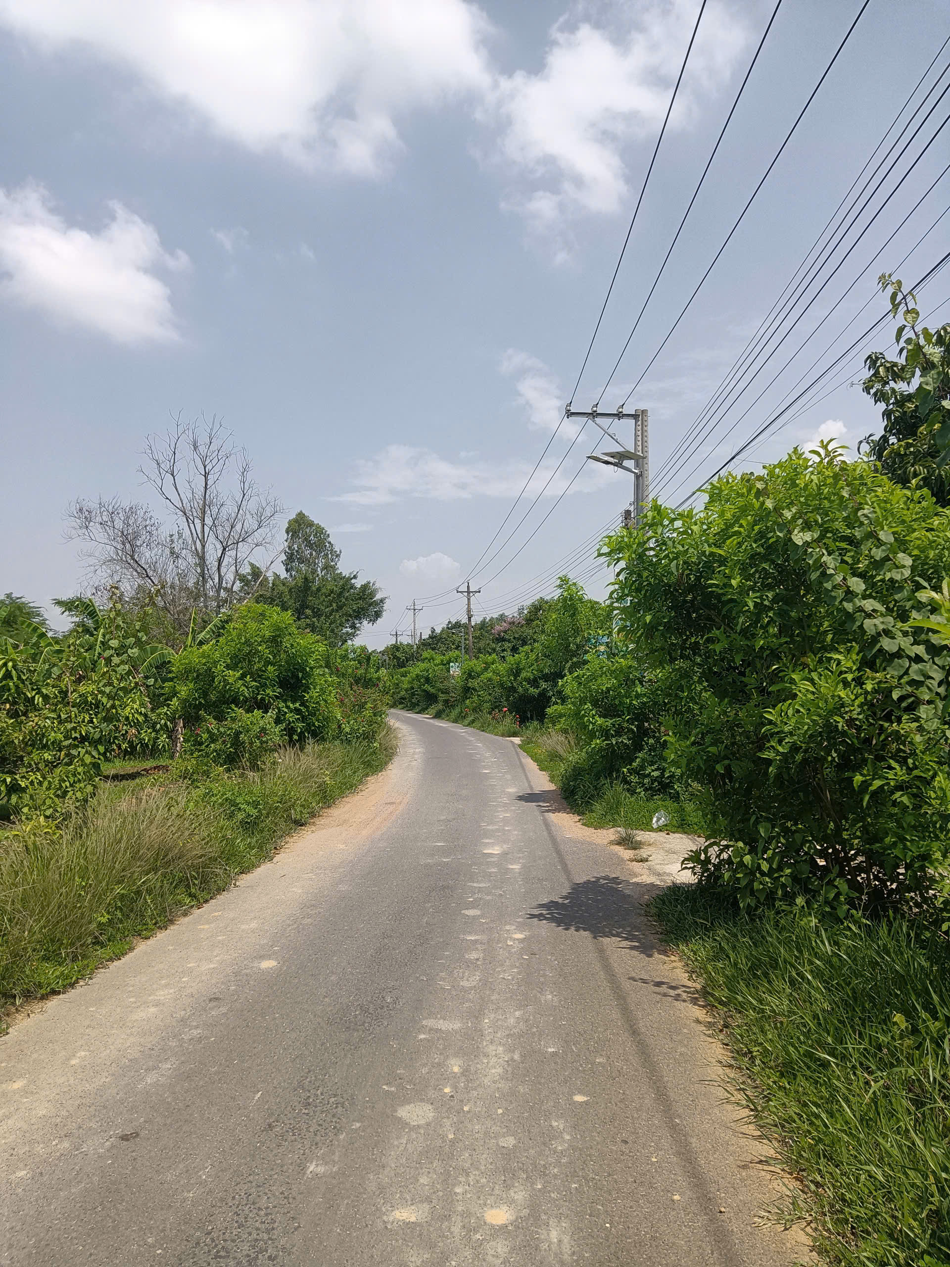 z6675235180284_c4b2fa6e07789cf881687cd244358a40