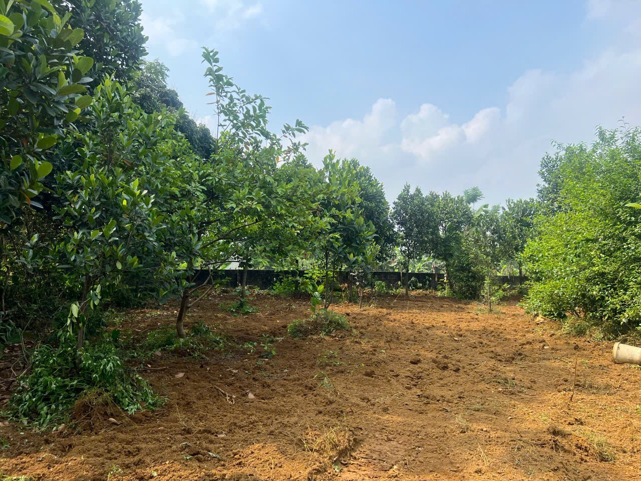 z6677374598019_cbed44843e64bba5c2e58f1c109c21a7