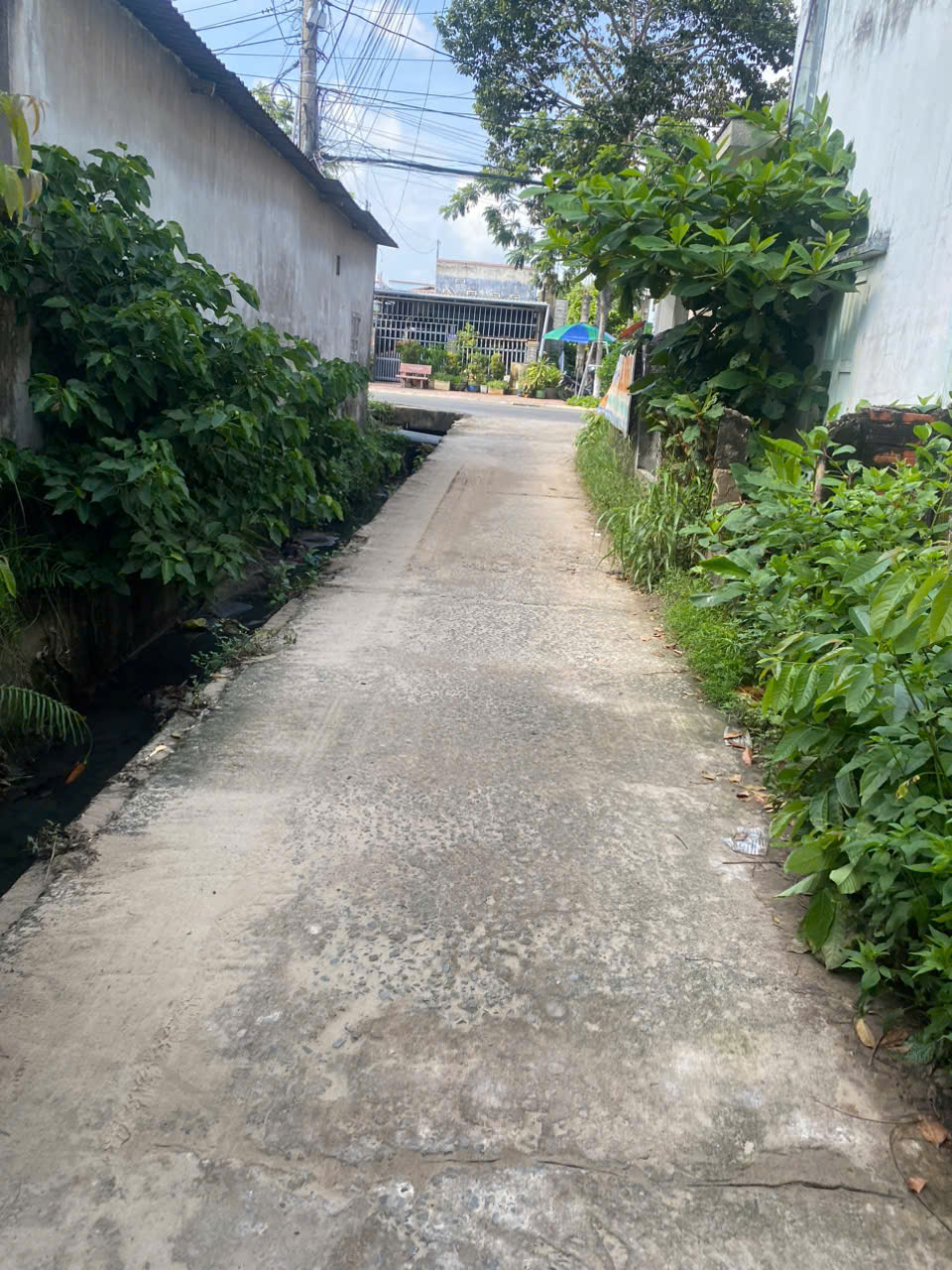 z6677830369110_581f0178e9a22aa3f5ca8158ef4c67da