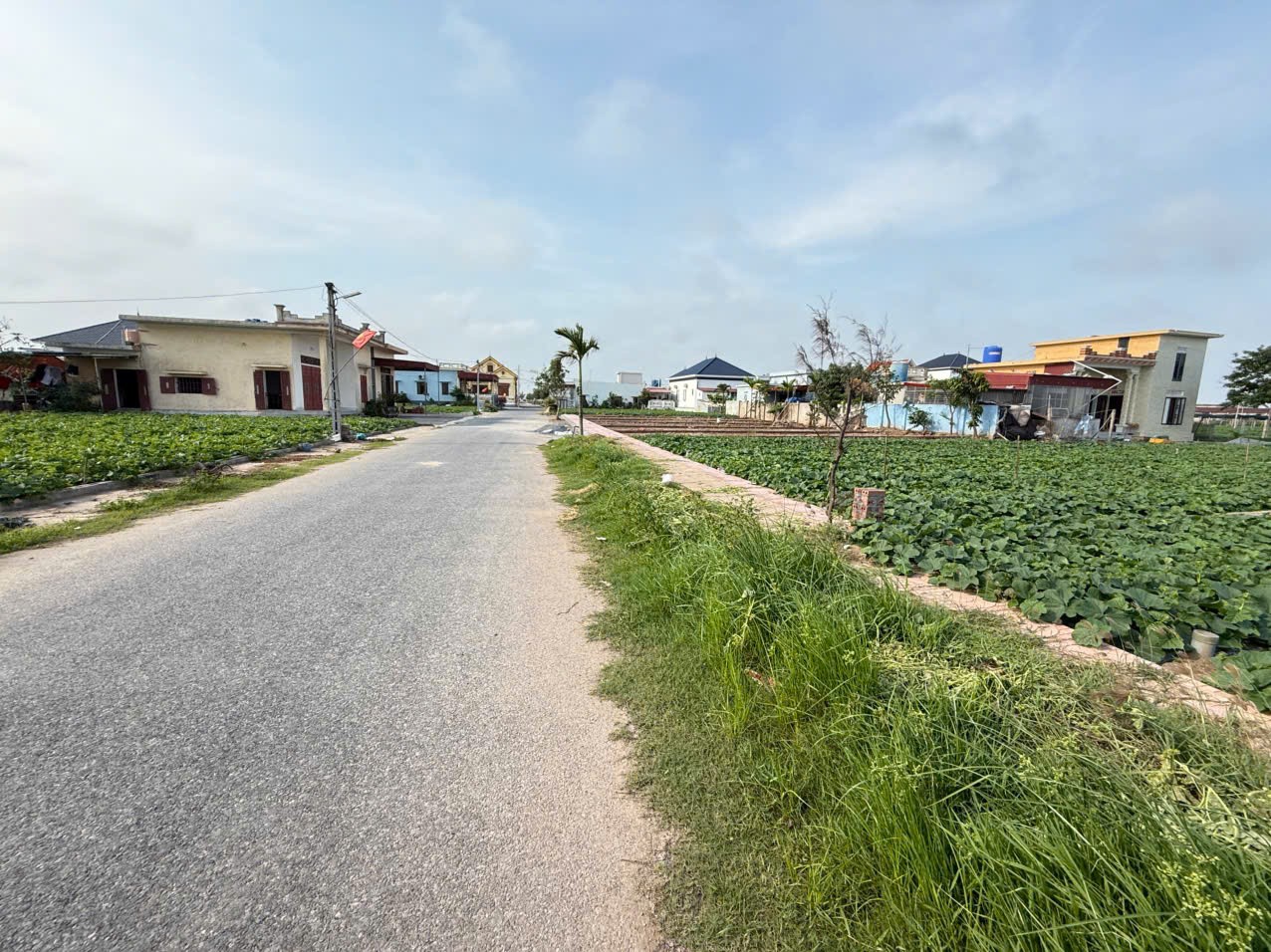 z6678075410743_75602c6508deeea121d7db4470ac4961