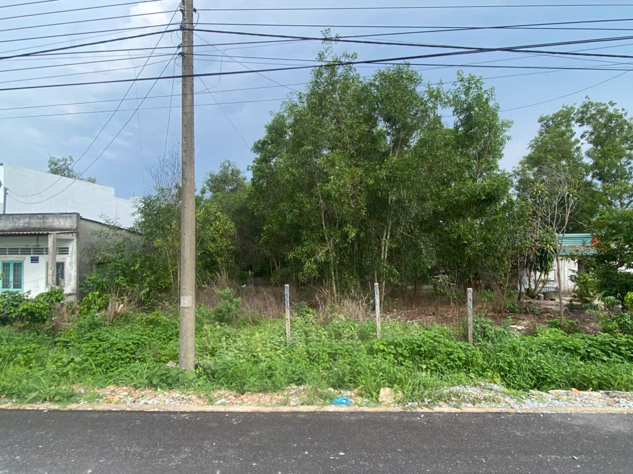 z6678193151214_744832cdc12d79d7f0bd6d072ede77c8