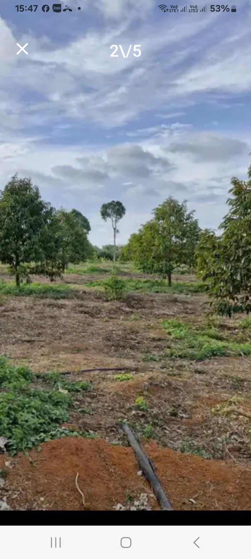 z6681148858732_775dd35a734b0cd074c327af41d6bf5c