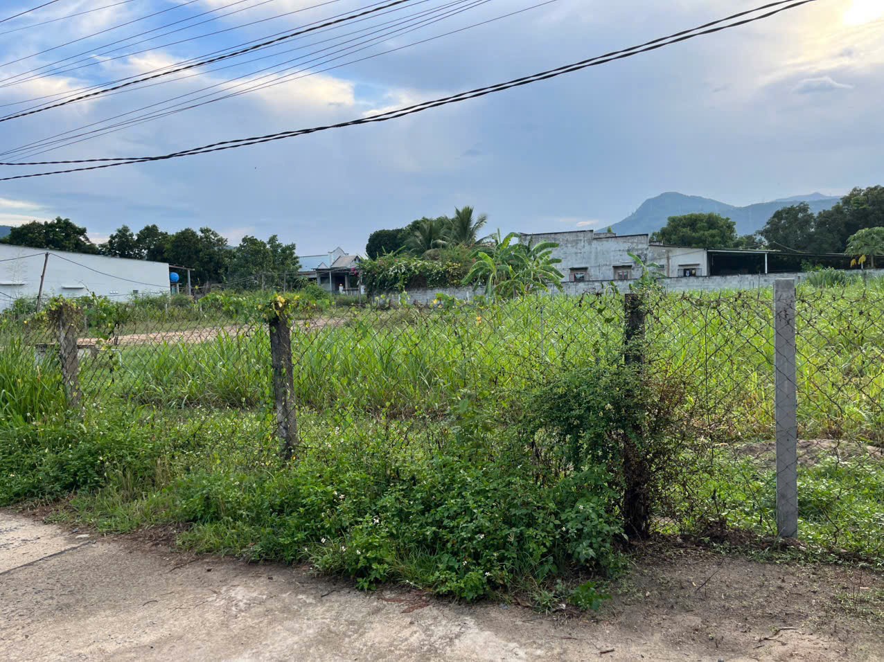 z6681800044951_e334c51eb04778c05e4205c7d7d5a667