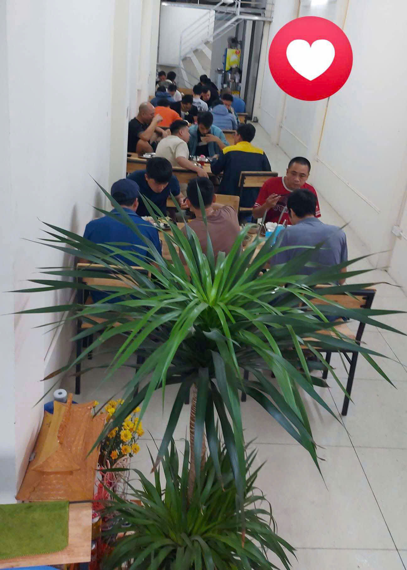 z6681879311645_f5ff6a143e6737fadcdf120c092b82cc