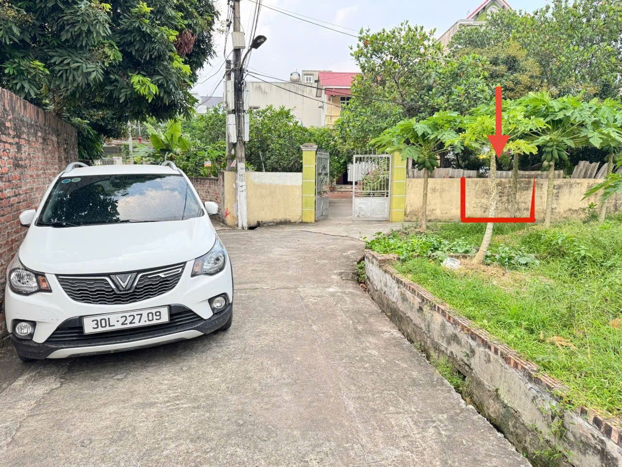 z6683037617084_3ce7f79edfcb61755ba96a172632d3a4