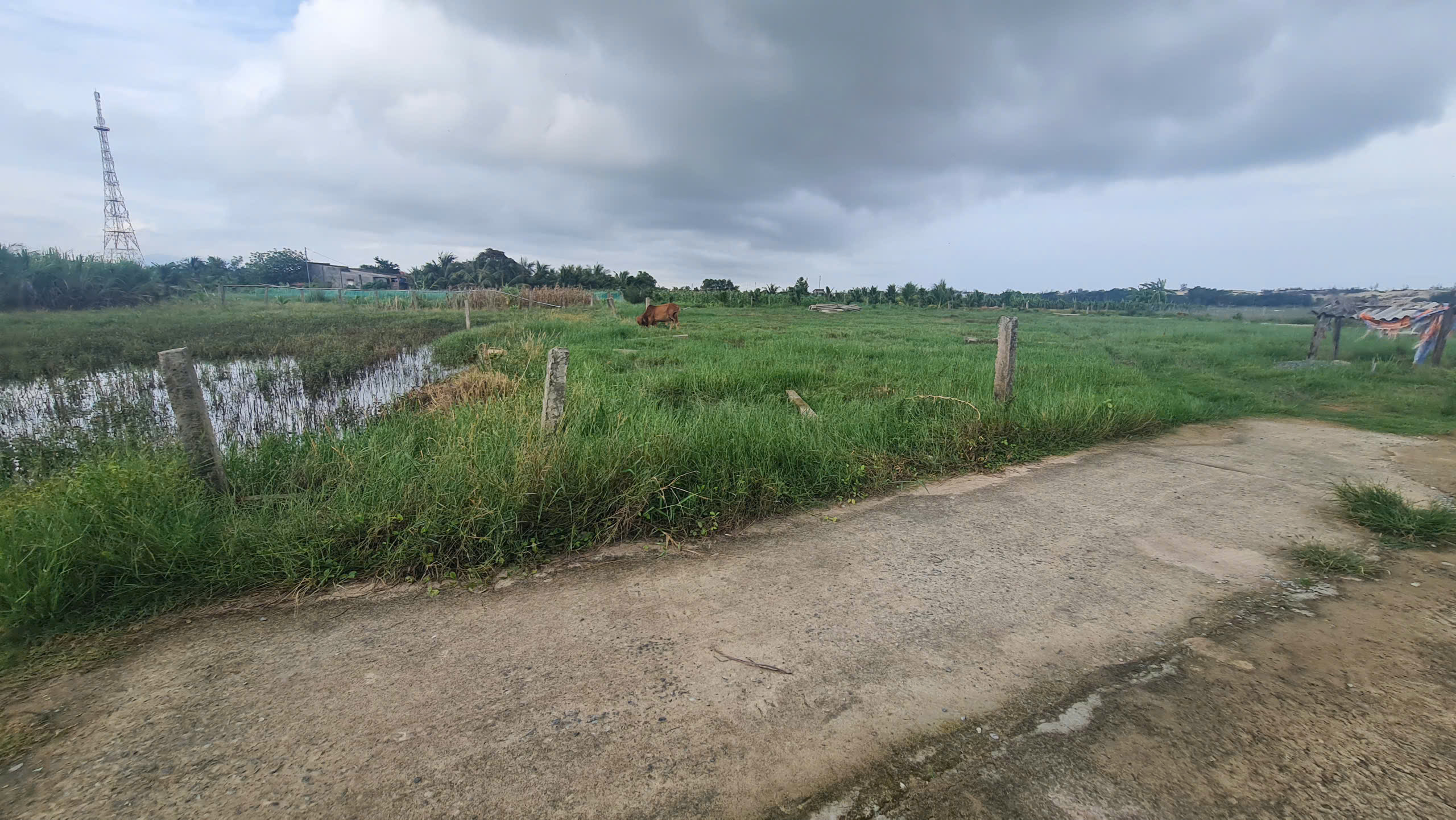 z6683310396642_3c5bd6c80646c5972b5295e21684f81a