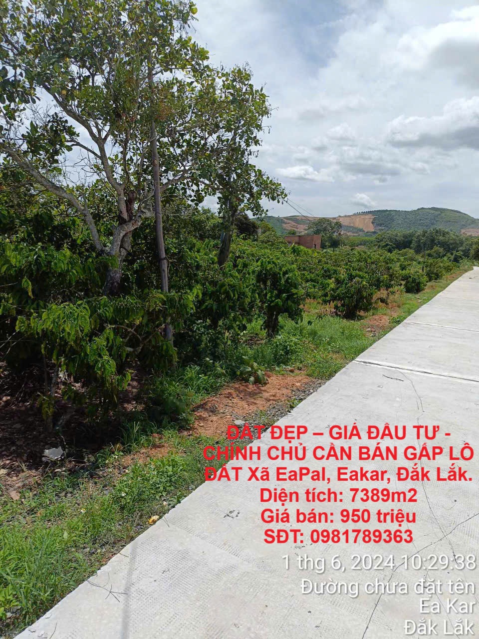 z6684814479844_63280827988ea21c861b8e1a98a6a16