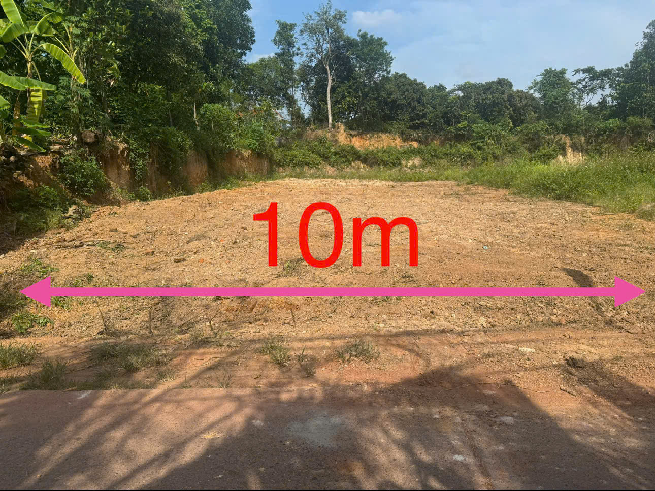 z6687004705452_44148b5bfd390f8181cb3365225cbaad