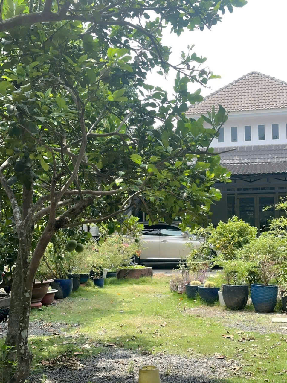 z6687088652522_89b233829d6d8ca85e812fb78310caee