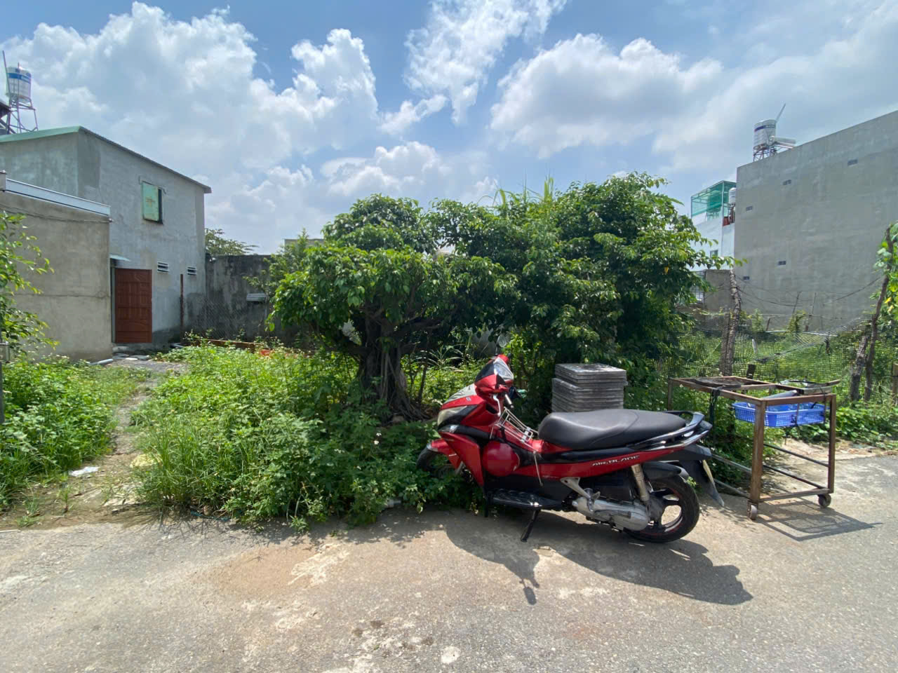 z6688517513056_200033d9fa2c930cef1332dfafec7493