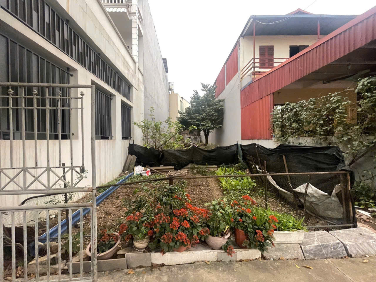 z6696476323754_5d3cb0244c36da643423bcd6975737c4