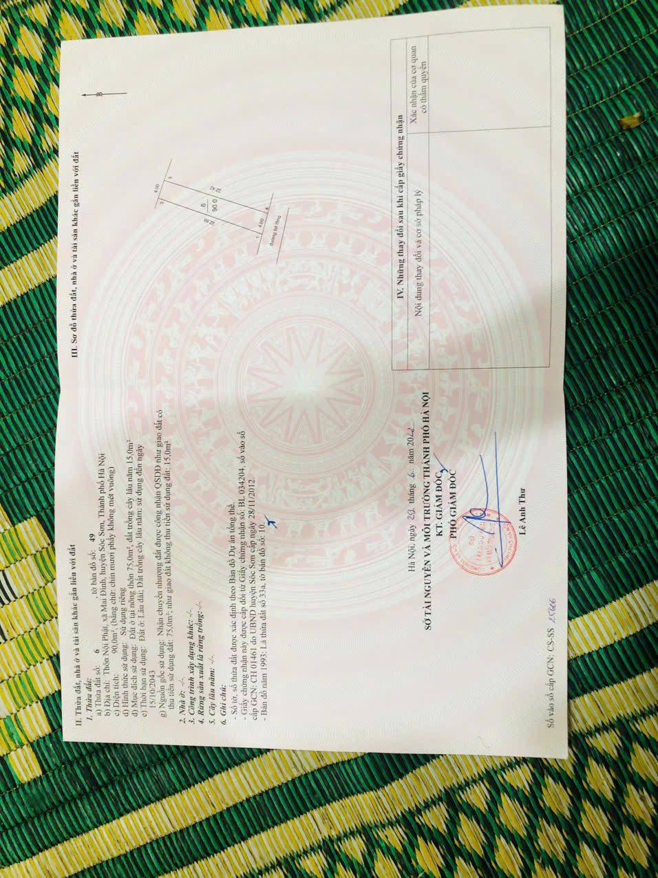 z6696908819426_b0443e213fe20ab9328a8d3b288236a2