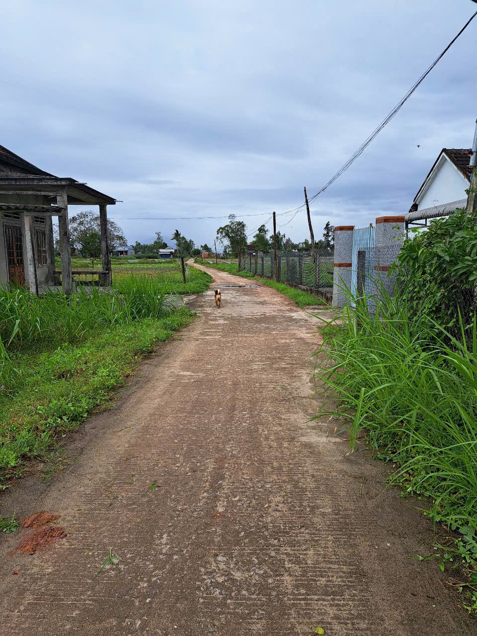 z6697971031297_393ff639ec4f2065d5a6516de198750c