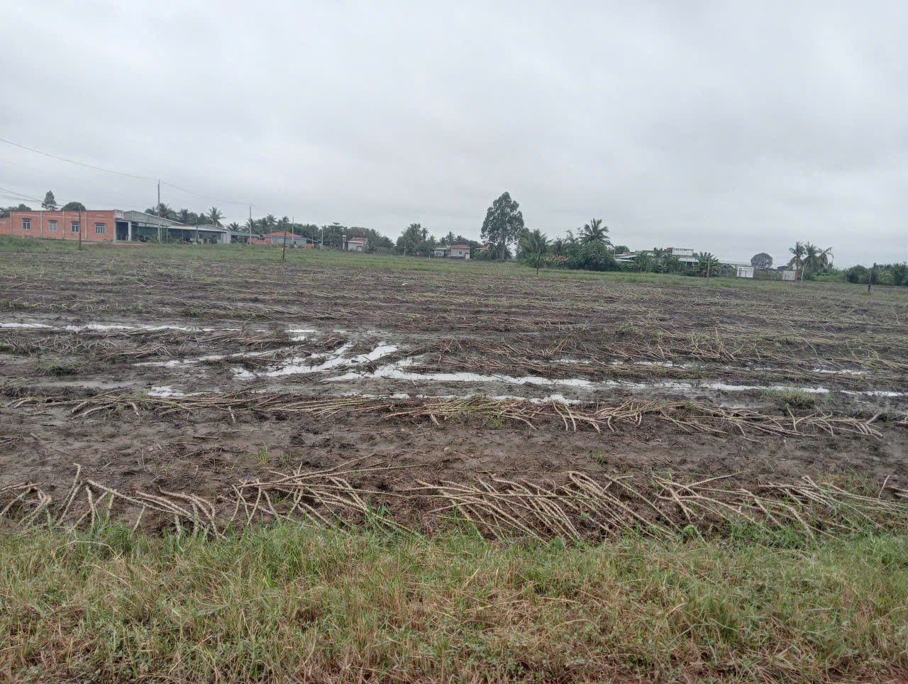 z6700945397400_8707d6219b8917f7bd9320136dd65818