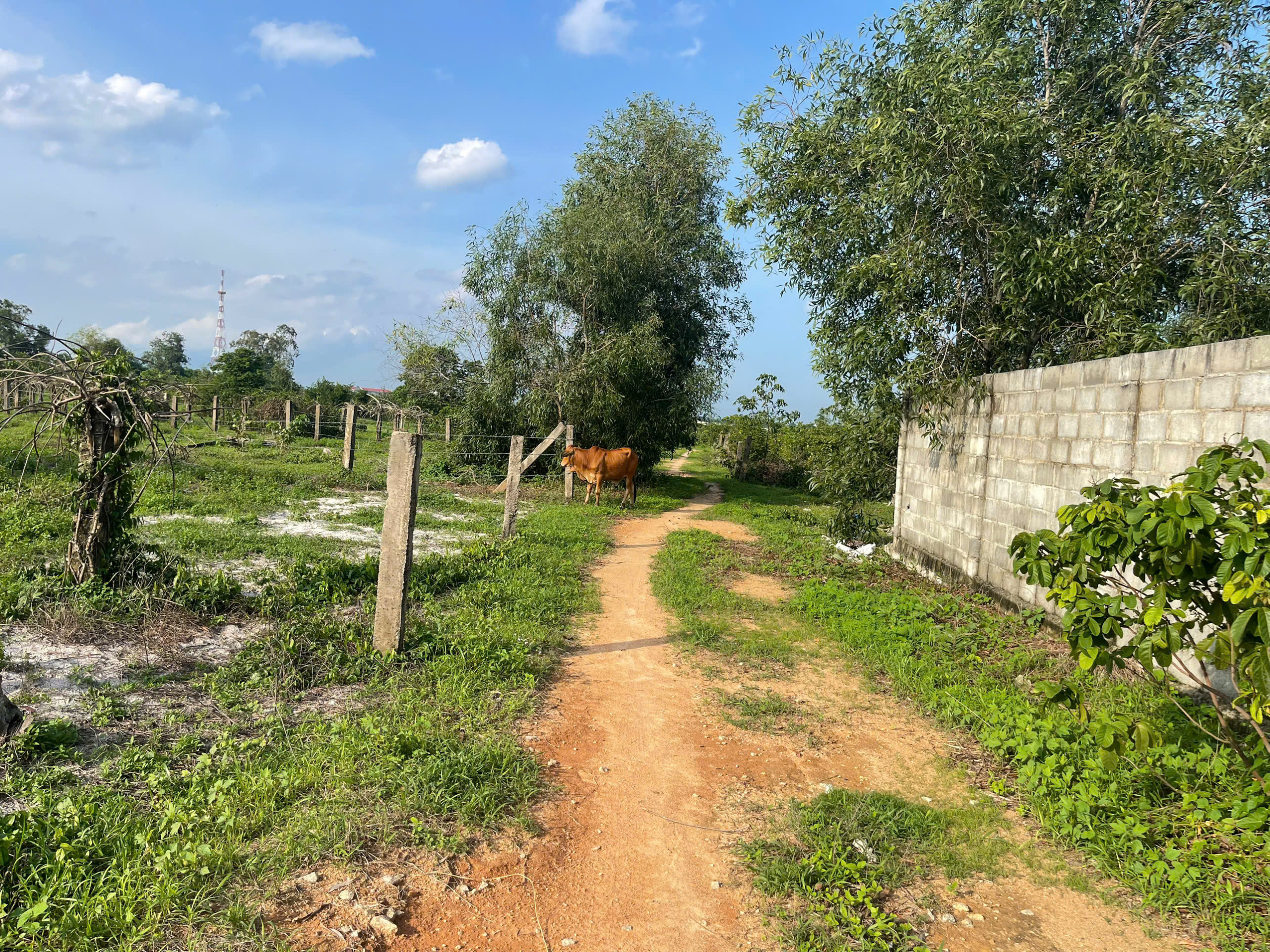 z6708247903152_59d7ea03f33dfba17221906f0eda4328