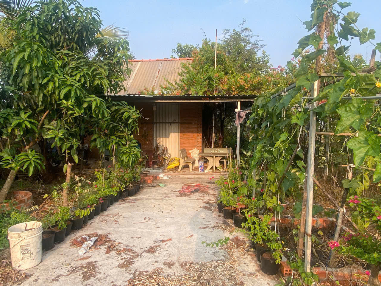 z6708592484518_f0ce08b2b0815994441a1021f84b2c80