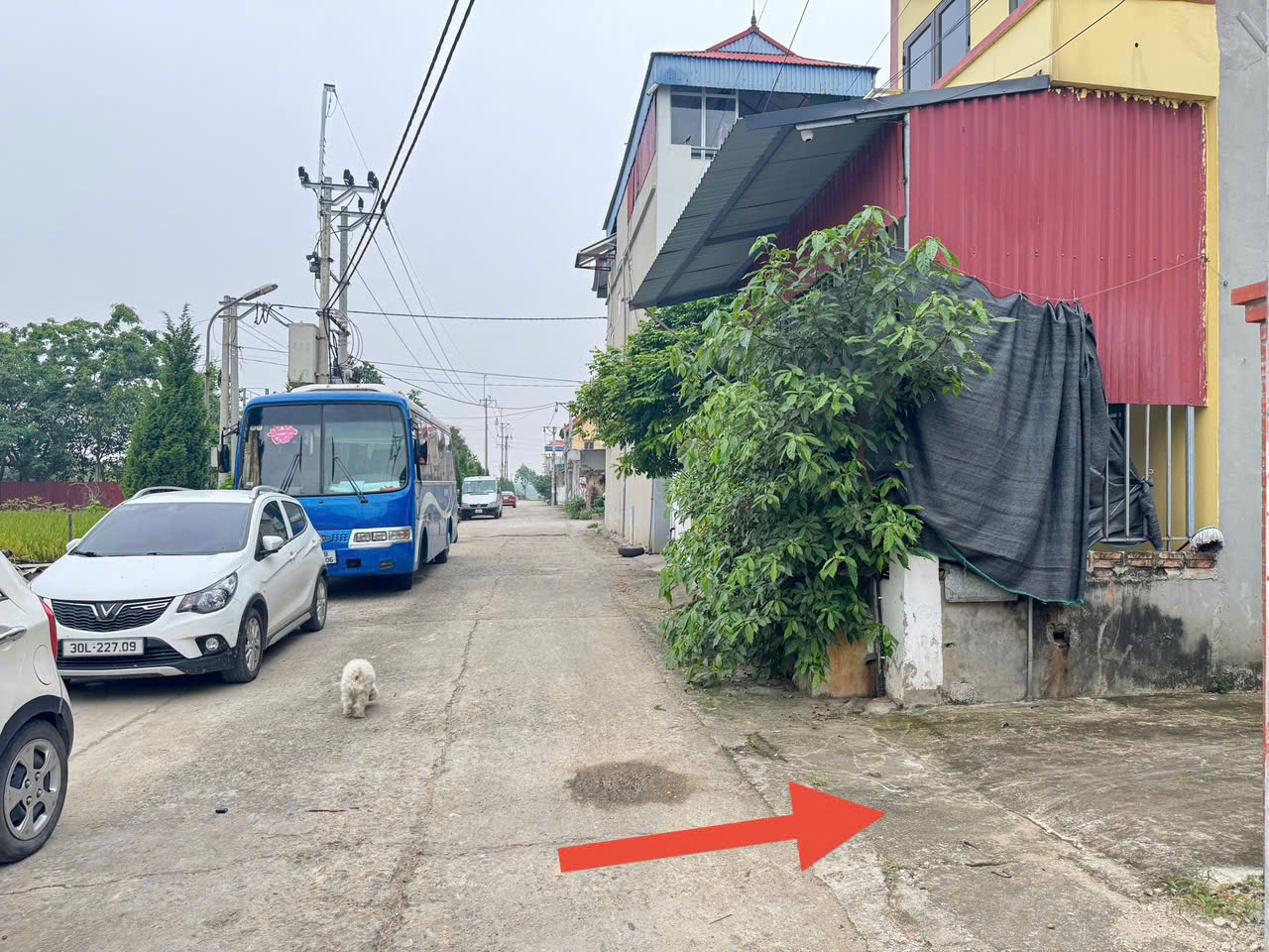 z6709374401075_ab1f4980cdf2afbda763964441c41ca7