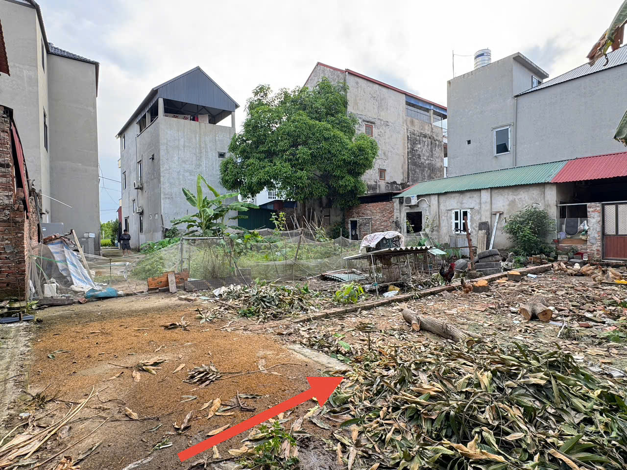 z6709410493351_9a63f05acda74c7ac6c05a82d5c78fd7