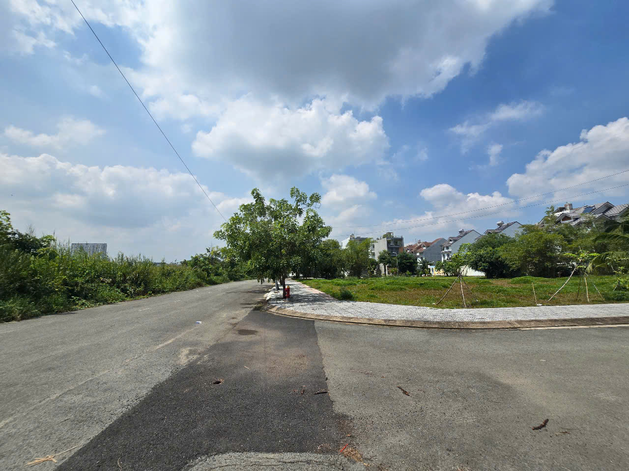 z6709864697810_94b87b59683a09faa5c6973747c2ac75