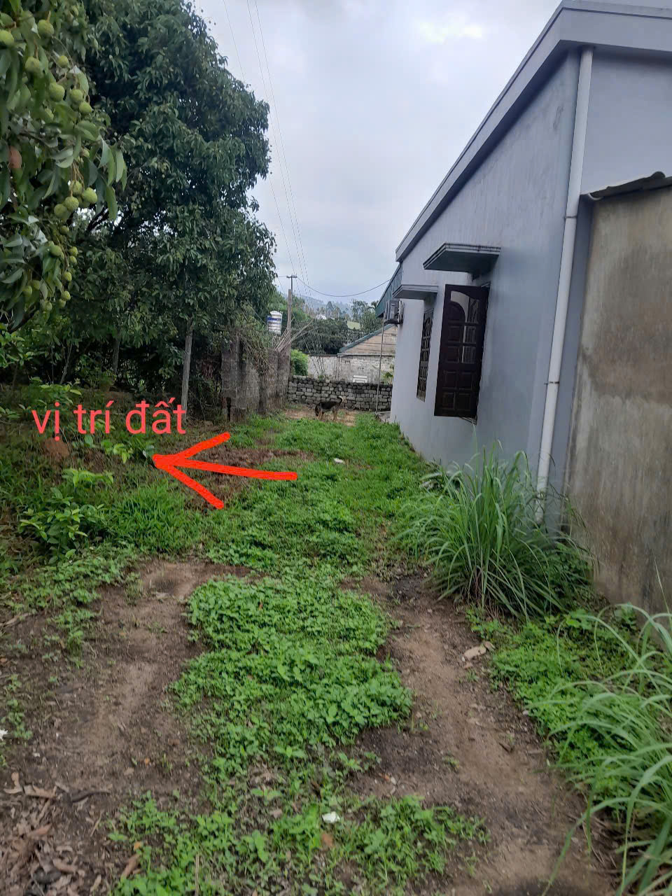 z6713139071528_2a15a016be4b118e48fd3da8f35dd142