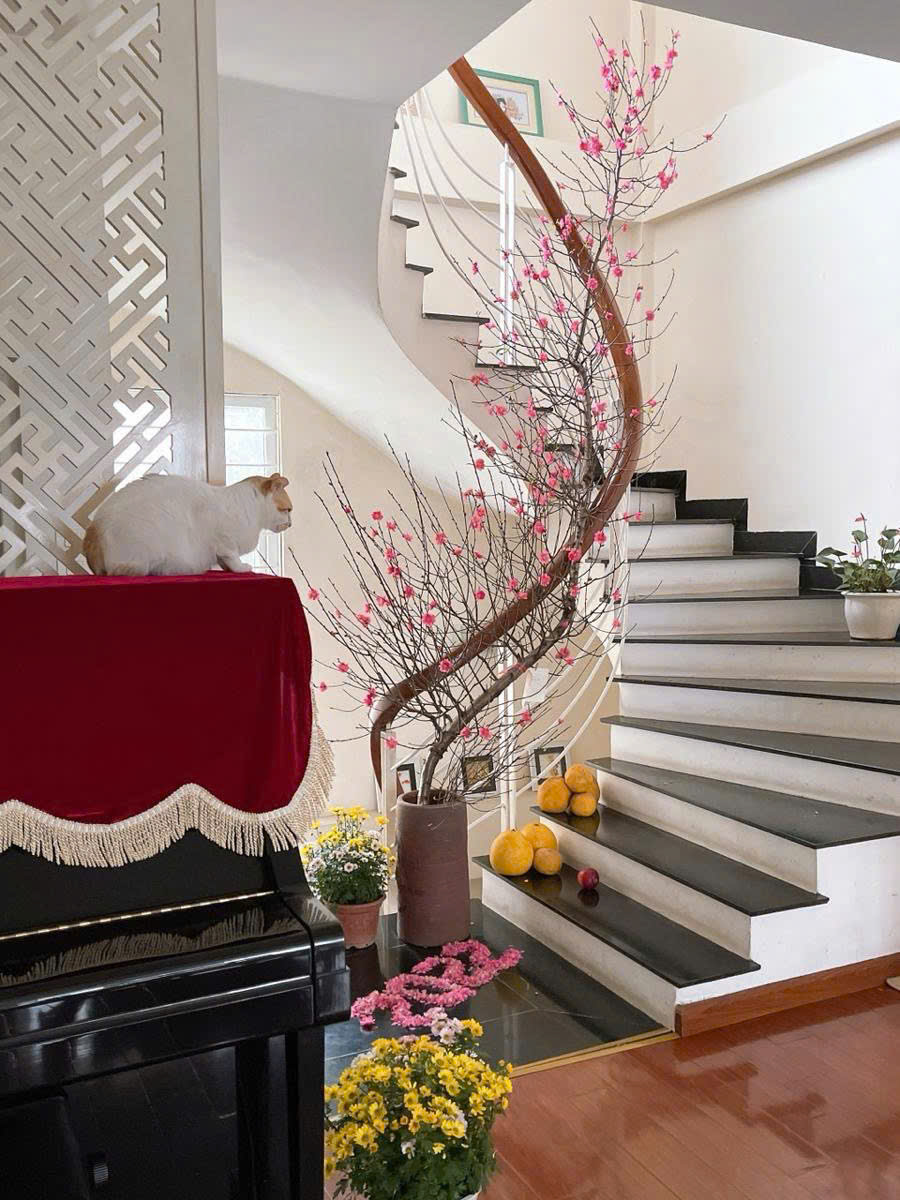 z6721454375851_0da24cebe99f7b54ed7c397267d07ab8