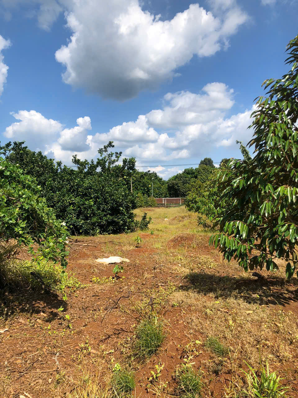 z6723506401702_627ca31df0a7510c9ed2a26e925681ea