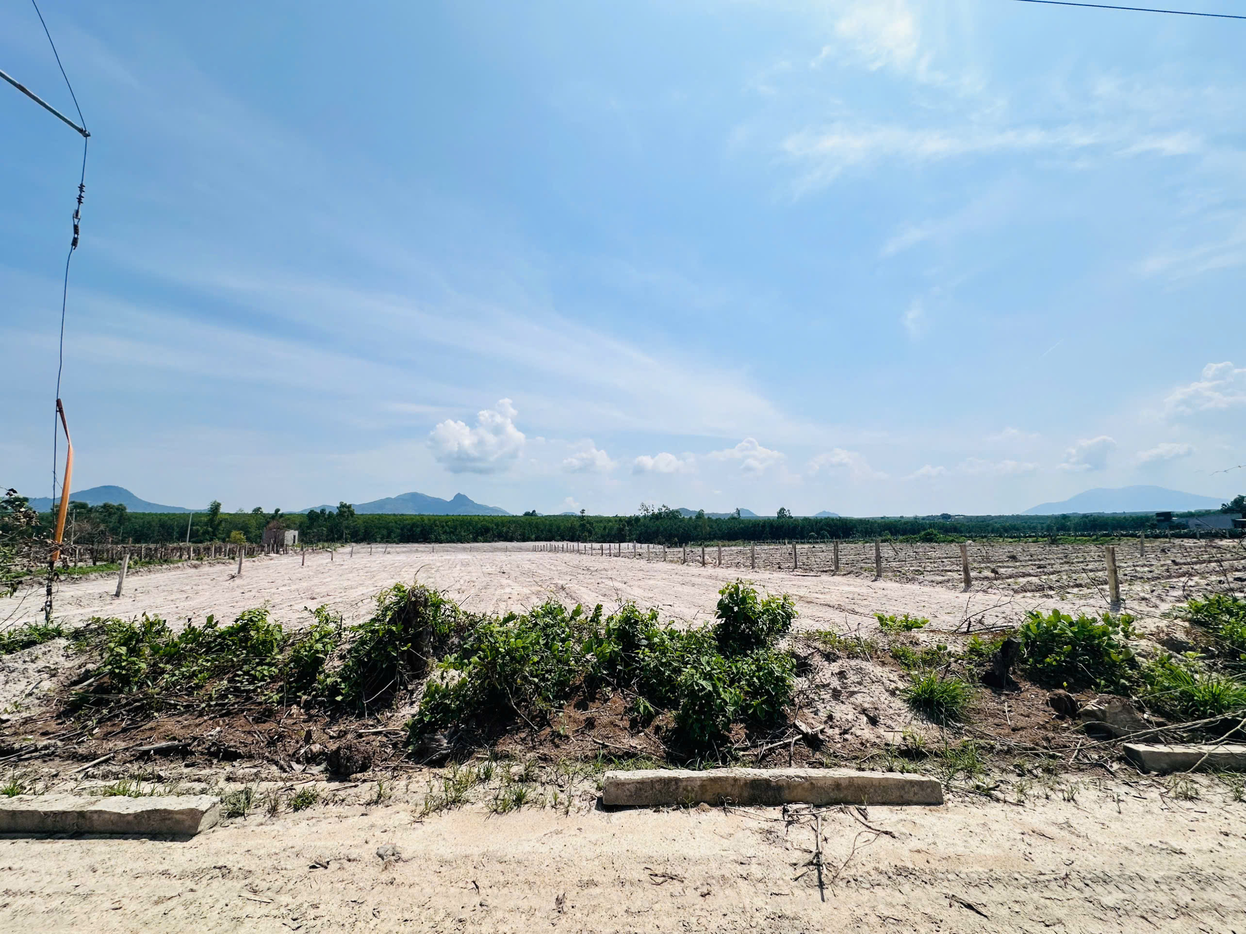 z6723789515545_edd9e54b920e461f6ca91653fcfc4005